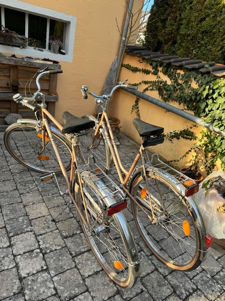 Hercules Fahrräder Damen und Herrenrad in Büchenbach