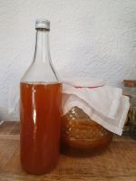 Kombucha Scoby Teepilz Bayern - Eching (Kr Freising) Vorschau