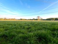 Grünland Wiese Weide Ackerland Kreis Pinneberg - Appen Vorschau