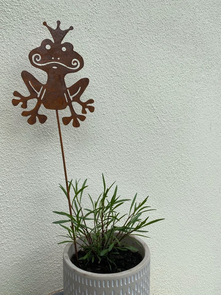 Frosch Blumenstecker Deko Metall Rost Garten Balkon in Aachen