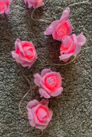 Lichterkette mit 10 rosa Rosen Nordrhein-Westfalen - Hürth Vorschau