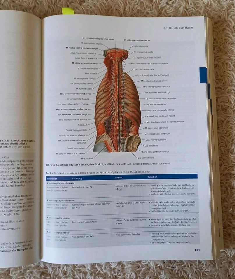 Sobotta "Anatomie - Das Lehrbuch" 1. Auflage in Geist