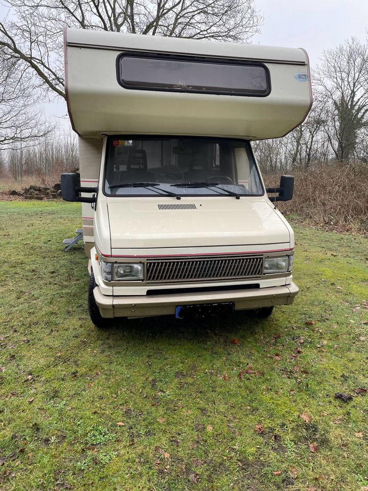 Wohnmobil Fiat 290 in Hollingstedt