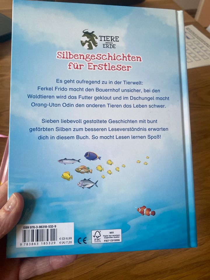 Silbenbücher/Silbengeschichten/Erstleser/Buch/Kinderbuch in Berlin