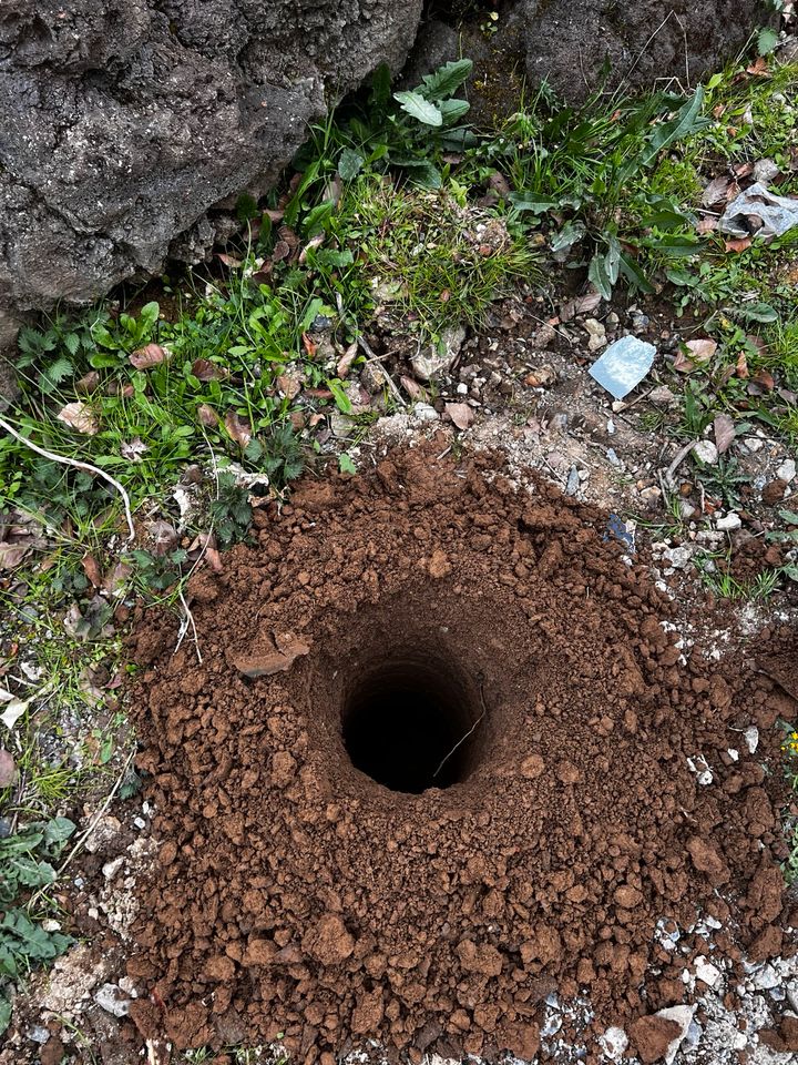 Erdbohrer mieten | Zaunbau | einpflanzen | leihen in Habichtswald