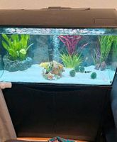 Fluval Aquarium 123l Sachsen-Anhalt - Gommern Vorschau