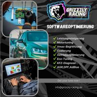 VW Audi Skoda Seat Softwareoptimierung Chiptuning AGR DPF AdBlue Nordrhein-Westfalen - Korschenbroich Vorschau