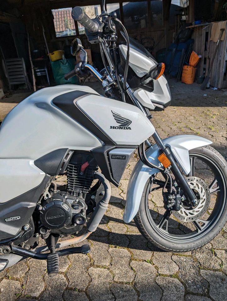 Honda CB 125ccm (2022) Version in Neu Ulm