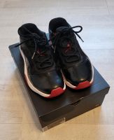 Nike Air Jordan Turnschuhe Gr. 42 Schleswig-Holstein - Itzehoe Vorschau