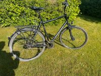 Herren Fahrrad 28er, XL Kreis Ostholstein - Lensahn Vorschau