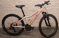 Ghost Lanao 24" Mountainbike MTB Kinderfahrrad Bad Godesberg - Lannesdorf Vorschau