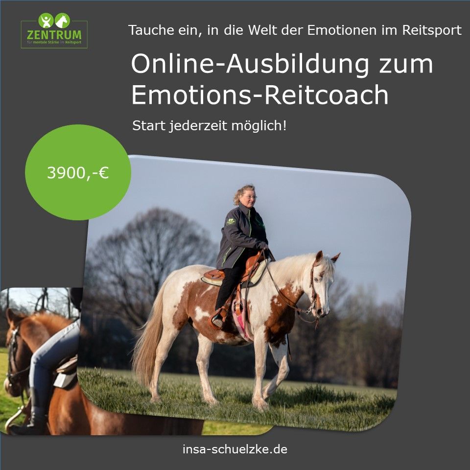 Ausbildung zum Emotions-Reitcoach - Angstreiter -angstfrei Reiten in Sonsbeck