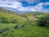 Ammerbuch Freizeitgrundstück Südhanglage mit Obstbäumen Baden-Württemberg - Hildrizhausen Vorschau