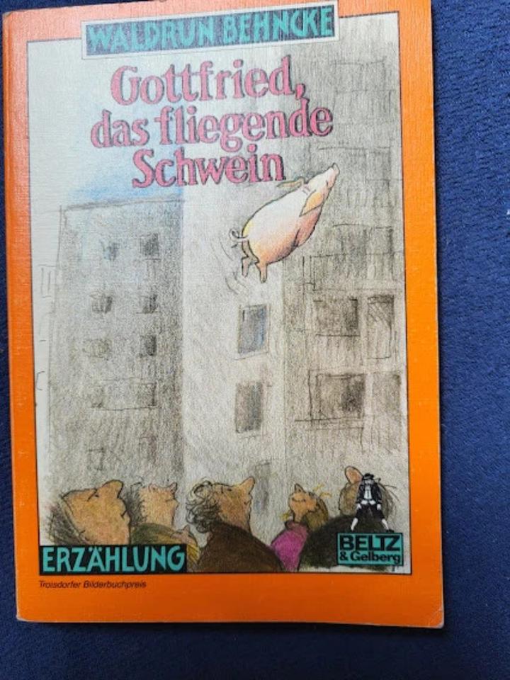 Waltrun Behncke Gottfried und das fliegende schwein erzählung in Schorndorf