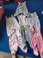 Verschiedene Babykleidung Größe 50 56 Sachsen - Pirna Vorschau