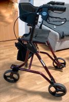 ROLLATOR GEHHILFE DRIVE TORRO nur 6,9kg leicht zusammenklappbar Sachsen - Hoyerswerda Vorschau