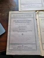 Die mathematischen Wissenschaften f.klein I - III München - Au-Haidhausen Vorschau