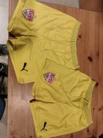 2 x VfB Stuttgart Shorts kurze Hose Puma Gr 176 Baden-Württemberg - Ammerbuch Vorschau