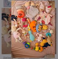 Spielzeugen Paket Baby komplet 10e Hessen - Wächtersbach Vorschau
