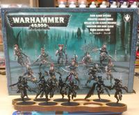 Warhammer 40k Dark Eldar Wyches Niedersachsen - Hildesheim Vorschau