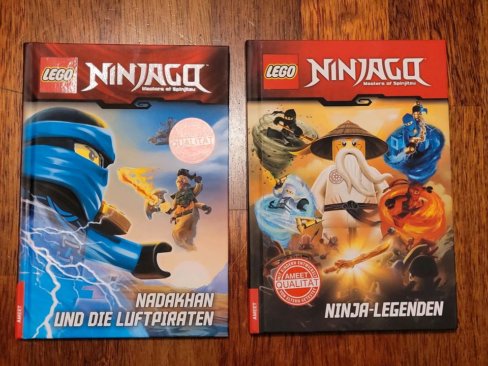 Ninjago Bücher, Hardcover in Hamburg