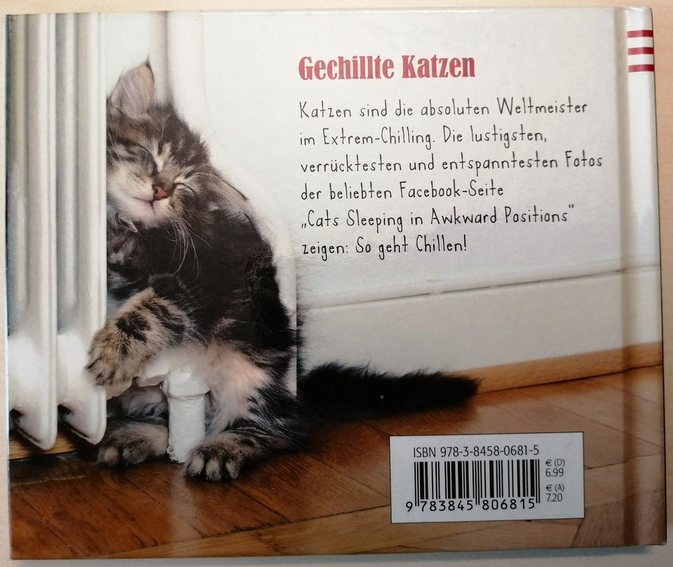 Gechillte Katzen - Lustiges Fotobuch für Katzenliebhaber in Winnenden