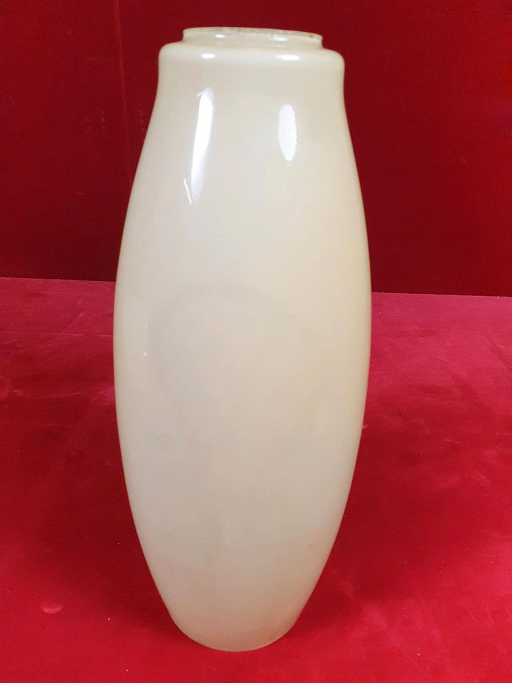 50er Jahre Glasschirme Tüten- Tulpen- Lampenschirme Ersatzglas in Halle