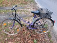 28 zoll Damenfahrrad Brandenburg - Finsterwalde Vorschau