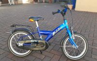 Kinderfahrrad 16 Zoll Sachsen-Anhalt - Dessau-Roßlau Vorschau