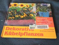 Buch Dekorative Kübelpflanzen Nordrhein-Westfalen - Mönchengladbach Vorschau