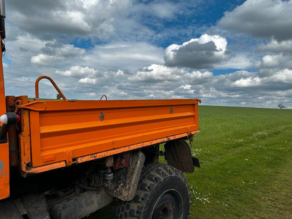 Unimog Kipper in Homberg (Efze)