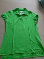 Hollister  Poloshirt Damen Gr.M wie Neu Nordrhein-Westfalen - Oberhausen Vorschau