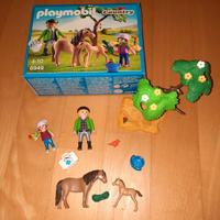 Playmobil Country 6949 Pony Tierarzt Niedersachsen - Meinersen Vorschau