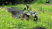 Erleben Sie die Vulkaneifel auf vier Rädern Onroad & Offroad 3h Rheinland-Pfalz - Nachtsheim Vorschau