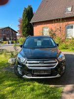 Ford Kuga 1.5 EcoBoost Schleswig-Holstein - Badendorf Holstein Vorschau