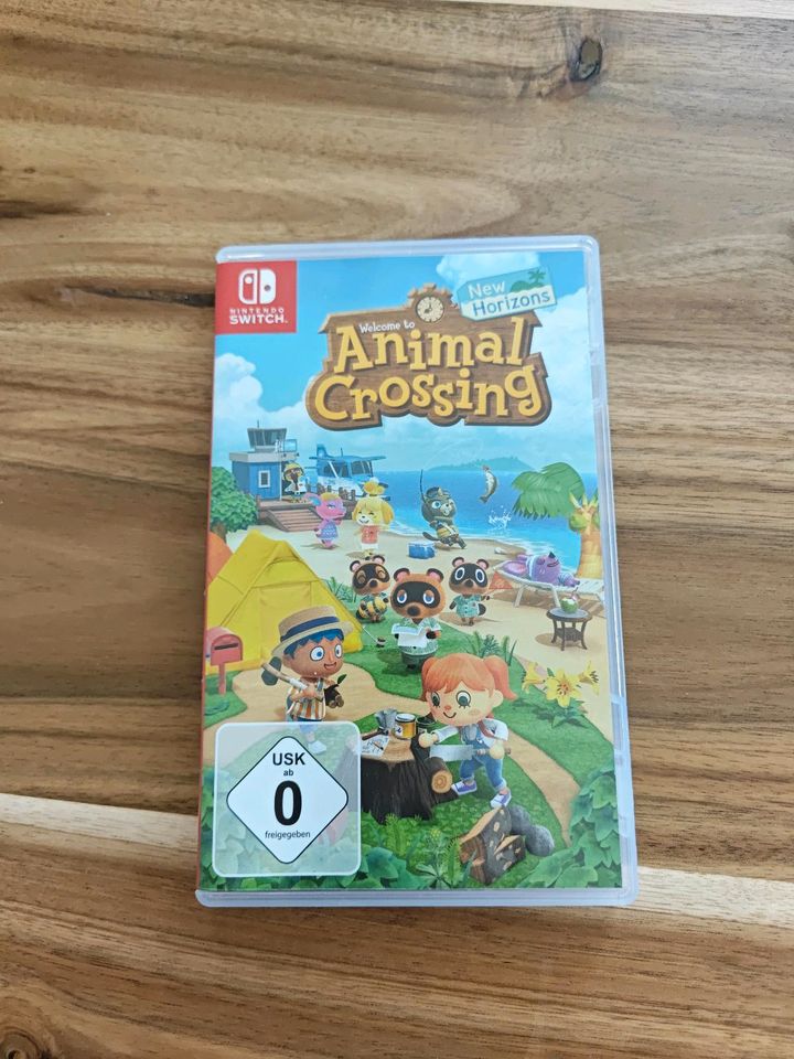 Animal Crossing New Horizons in Singen