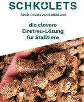 Stroh Pellets Cobs Strohstrukturpellets Einstreu 16mm Premos Thüringen - Schkölen Vorschau