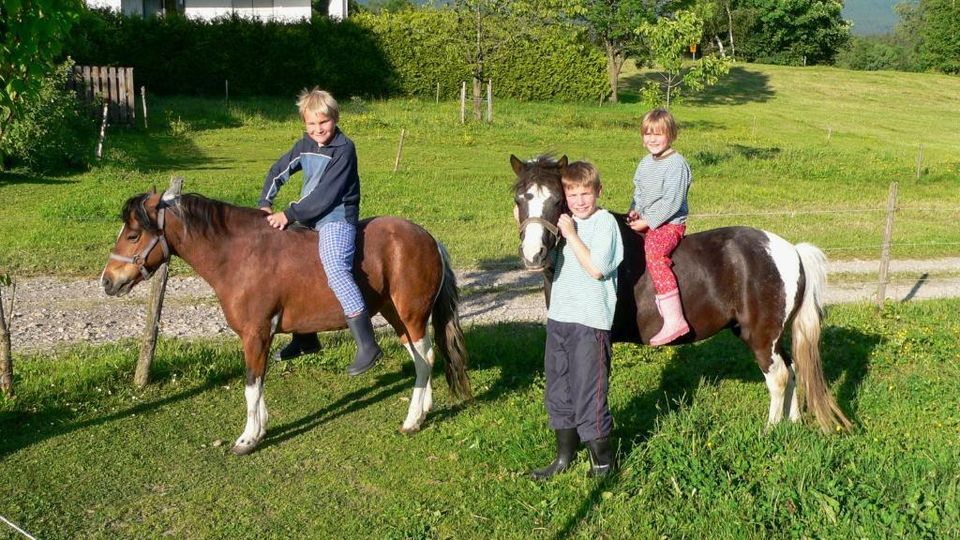 Bayerischer Wald Ferienwohnung frei Pfingsten Urlaub in Bayern in Teisnach