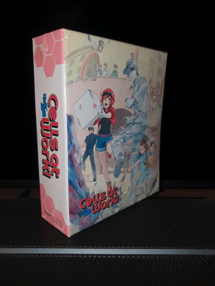 Cells at work schuber anime bluray DVD manga rar in Wohltorf