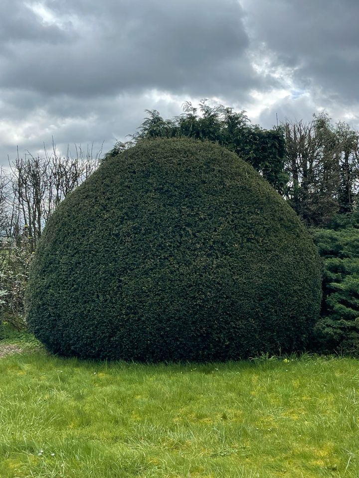 Gartenpflege in Köln