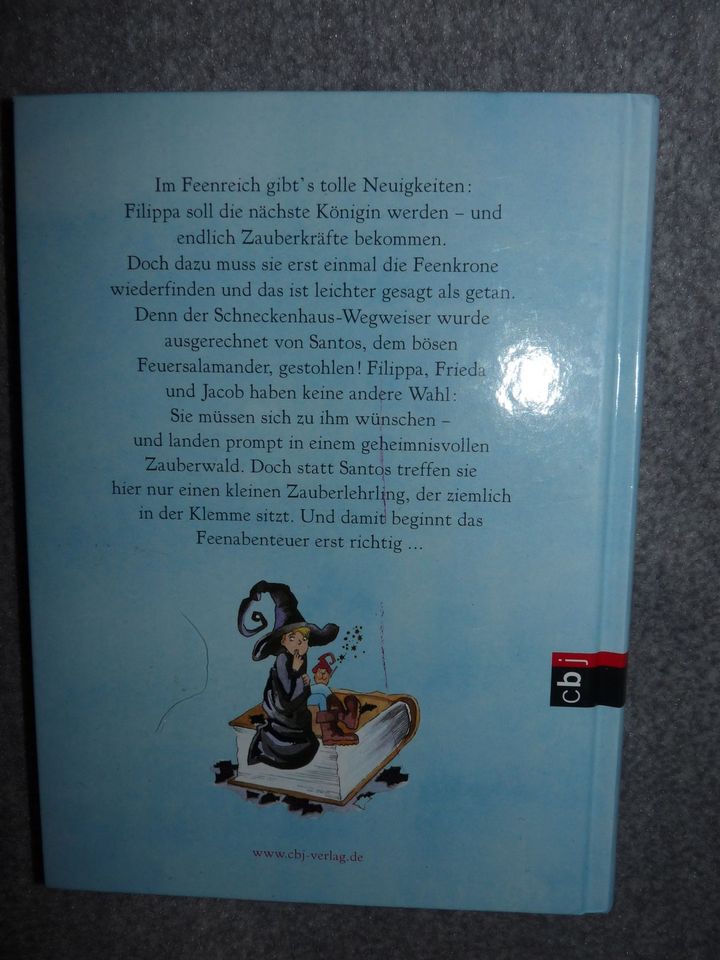 Filippa Funkelfee - Hortense Ullrich / Kinderbuch in Hannover