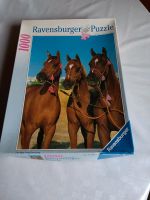 Puzzle 1000tlg. Zu verschenken Schleswig-Holstein - Rieseby Vorschau