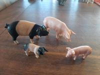 Schleich Schweinefamilie Baden-Württemberg - Ostfildern Vorschau