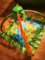 Fisher price Rainforest Spielebogen, Spielmatte, baby Hessen - Ludwigsau Vorschau