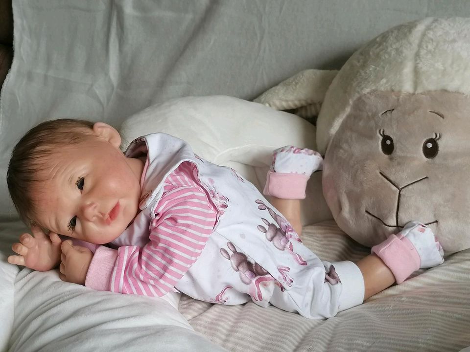 Reborn baby Sansa❤️, Ping Lau, Original, incl Versand ❗ in Bruchmühlbach-Miesau