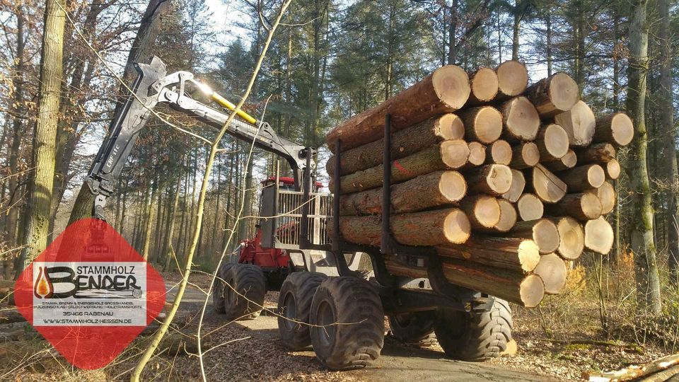 Eiche Stammholz Pfahlholz Balken Weidezaunpfosten Pfähle Bretter in Rabenau