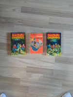 5 Freunde Bücher Dortmund - Persebeck Vorschau