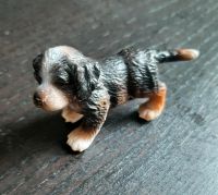 Berner Sennenhundwelpe von Schleich Sachsen-Anhalt - Salzatal Vorschau