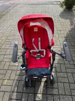 Kinderwagen / Buggy Iglesina Aachen - Aachen-Südviertel Vorschau