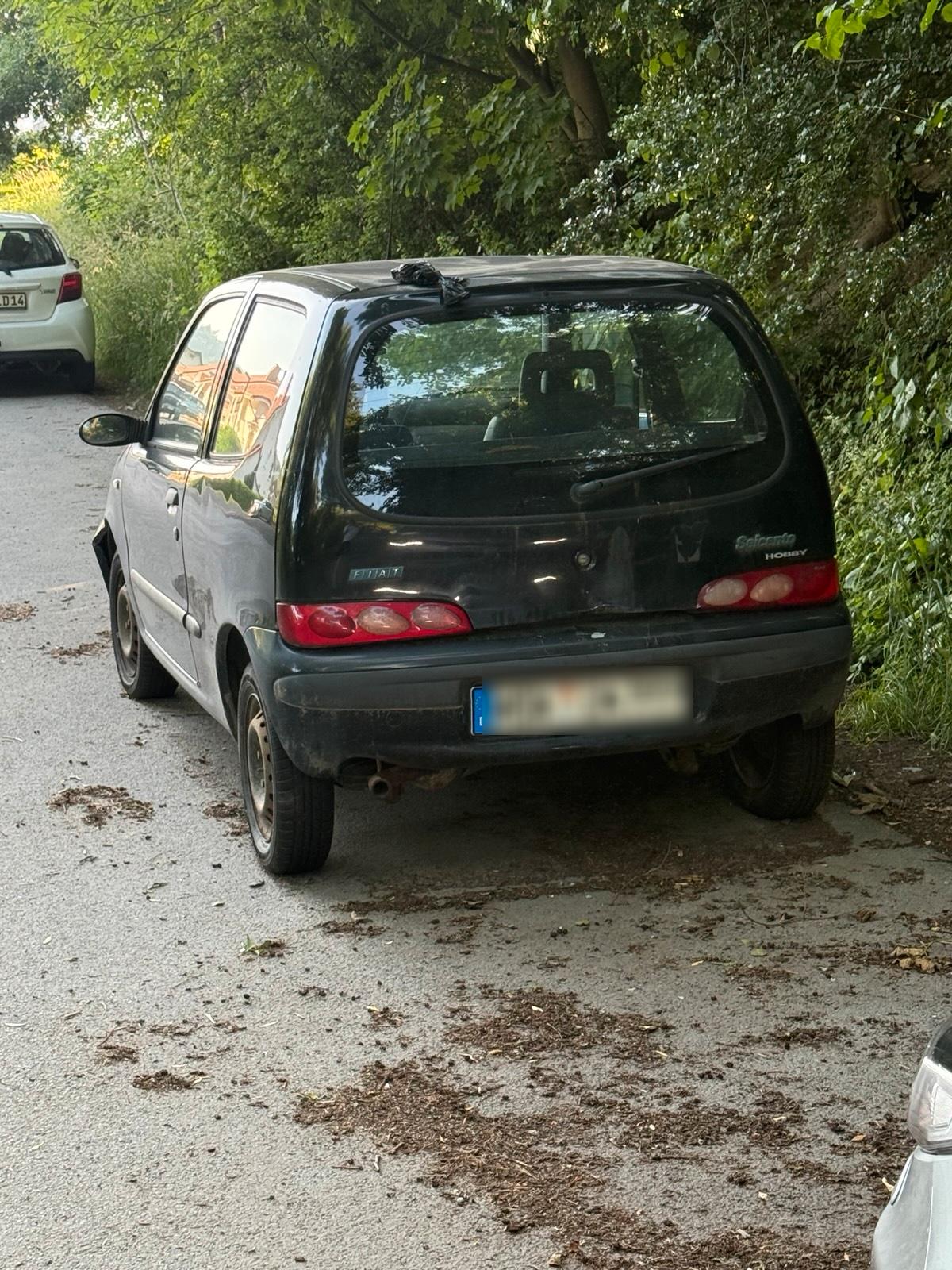 Abbildung des Autos Fiat seicento